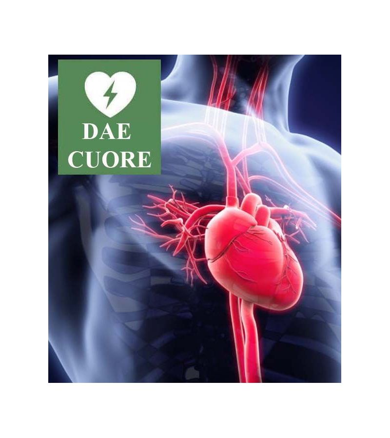 CUORE